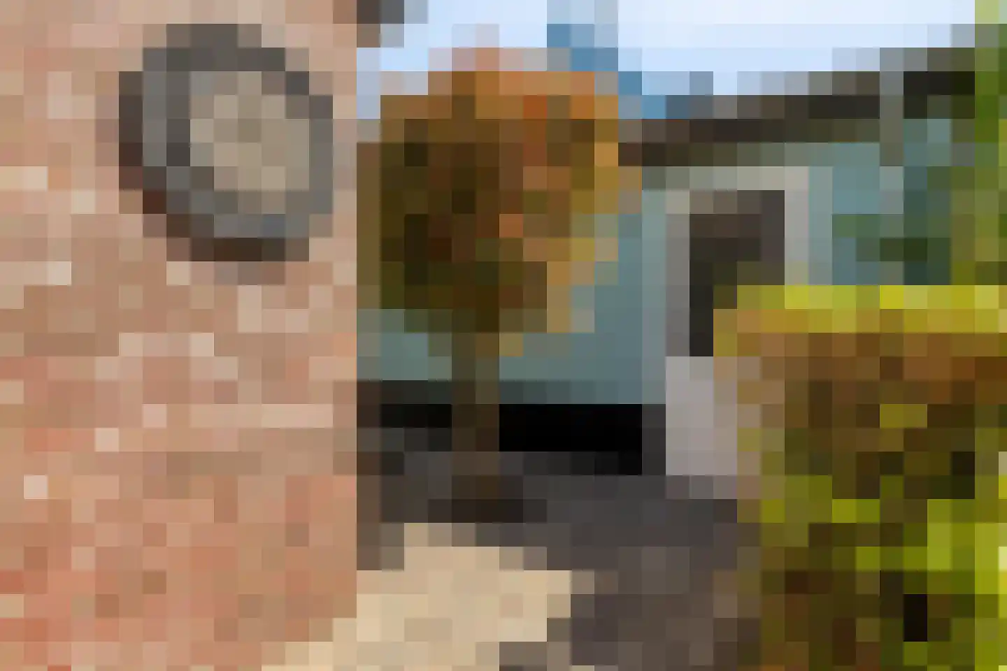 Spant 40 Assendelft thumbnail 40