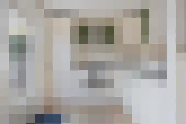 Spant 69 Hoorn thumbnail 16