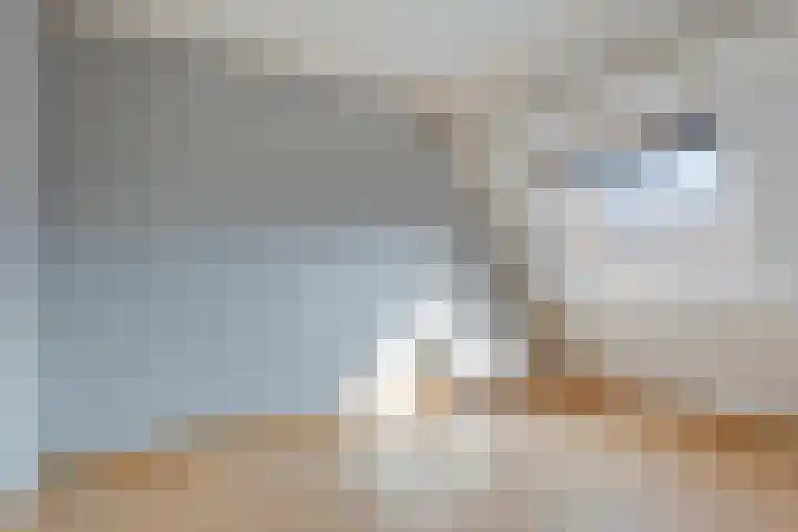 Spant 69 Hoorn thumbnail 21