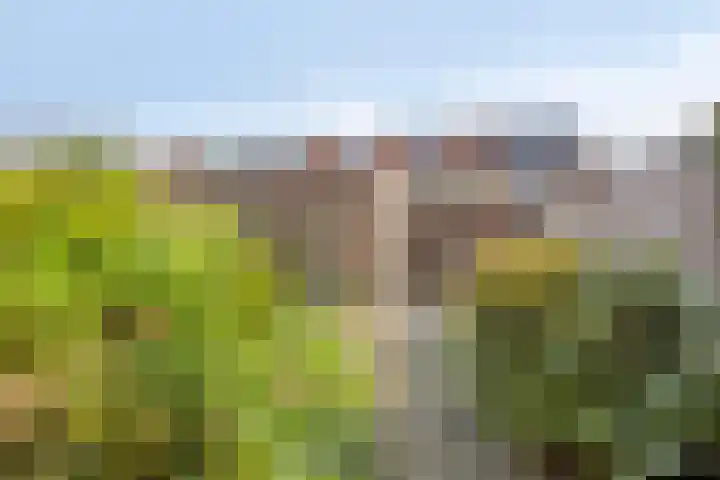 Spant 69 Hoorn thumbnail 32