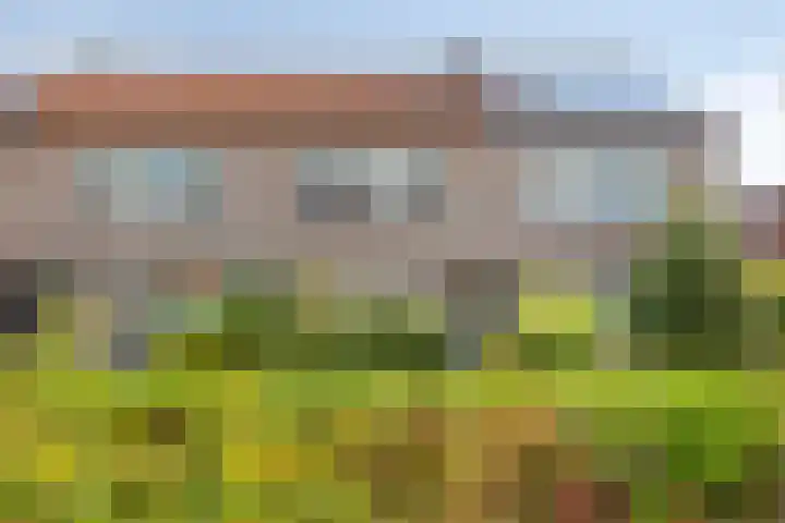 Spant 69 Hoorn thumbnail 35