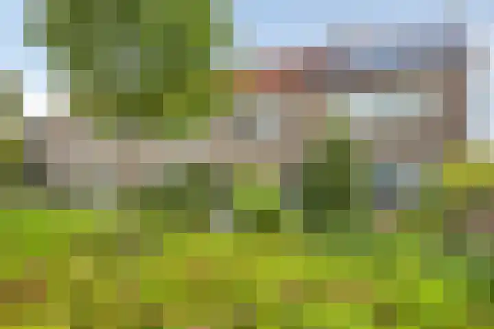 Spant 69 Hoorn thumbnail 36