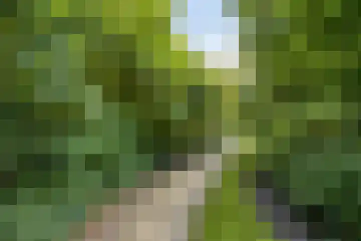 Spant 69 Hoorn thumbnail 37