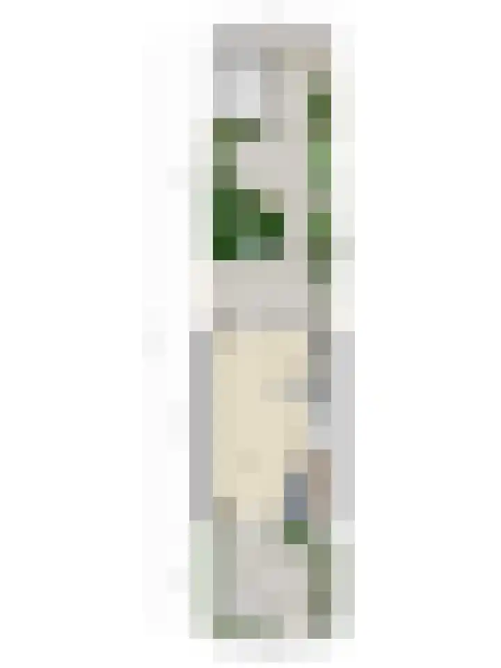 Spant 69 Hoorn thumbnail 38