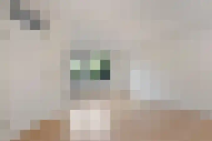Spant 69 Hoorn thumbnail 9