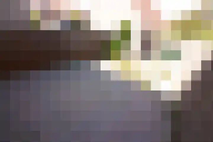 Spant 75 Hoorn thumbnail 52