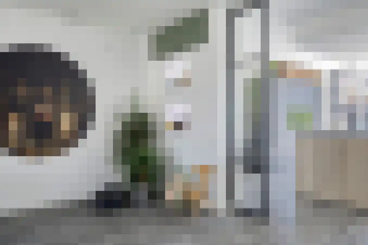 Spant 9 Tolbert thumbnail 11
