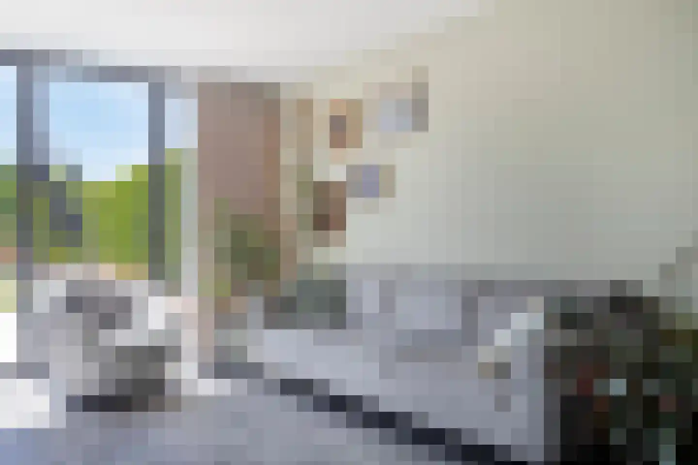 Spant 9 Tolbert thumbnail 15