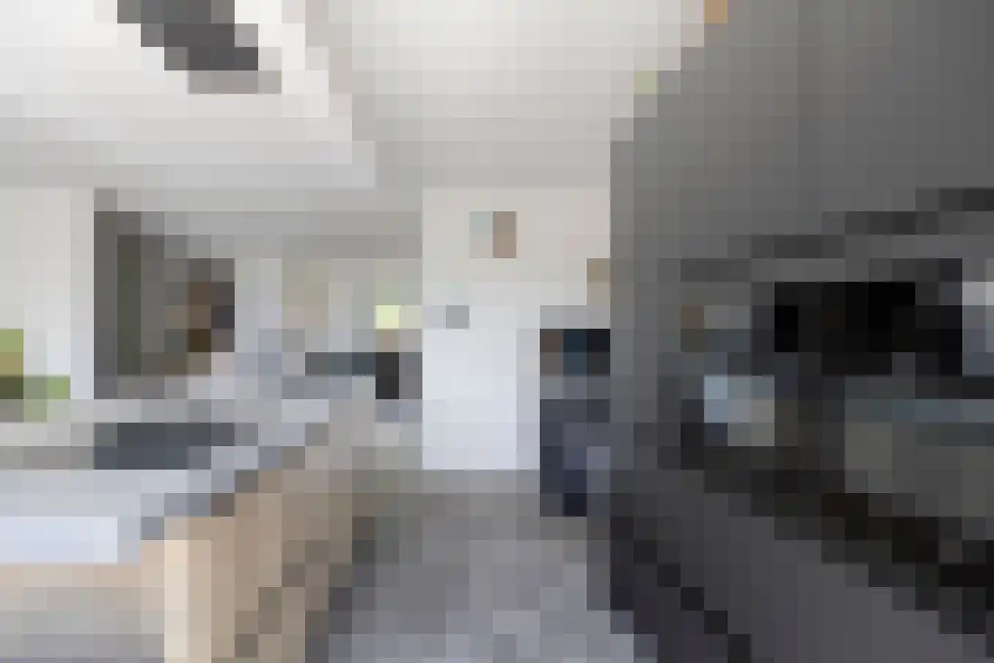 Spant 9 Tolbert thumbnail 17