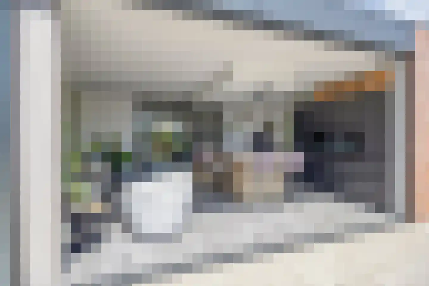 Spant 9 Tolbert thumbnail 21