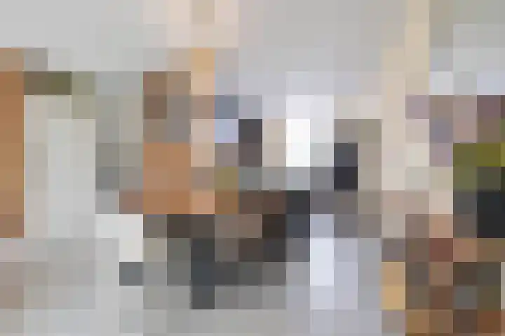 Spantenzetter 13 Sappemeer thumbnail 16