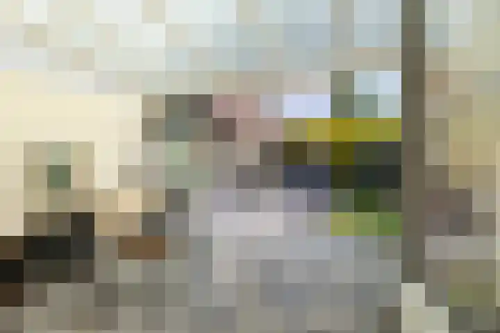 Spantenzetter 13 Sappemeer thumbnail 23