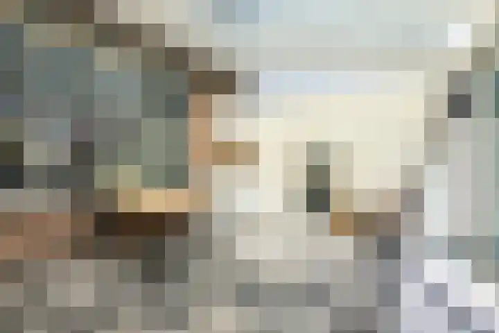 Spantenzetter 13 Sappemeer thumbnail 24