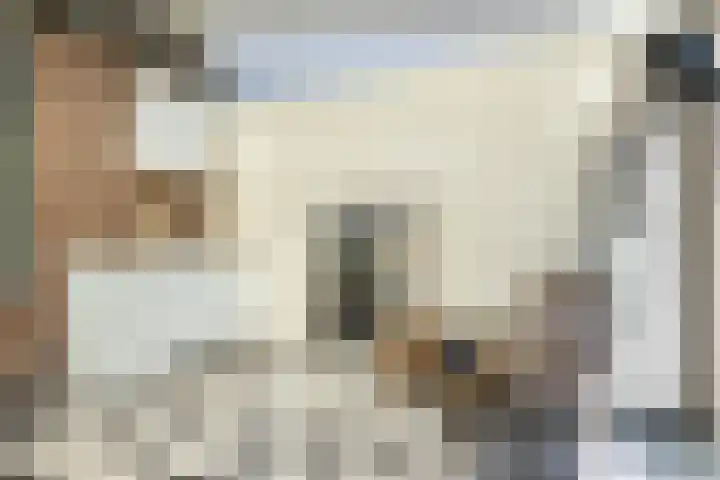Spantenzetter 13 Sappemeer thumbnail 25