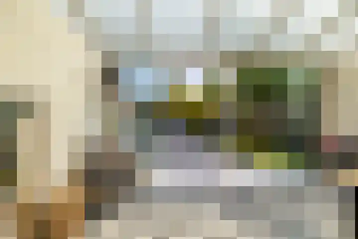 Spantenzetter 13 Sappemeer thumbnail 26