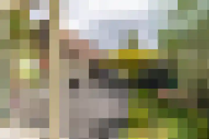 Spantenzetter 13 Sappemeer thumbnail 27