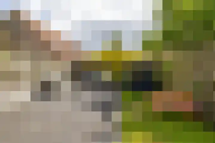Spantenzetter 13 Sappemeer thumbnail 28