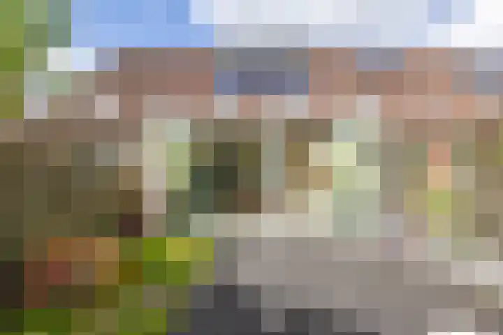 Spantenzetter 13 Sappemeer thumbnail 30