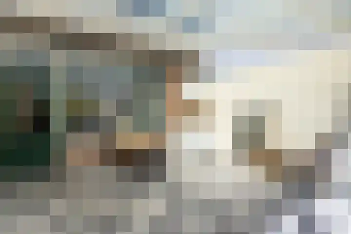 Spantenzetter 13 Sappemeer thumbnail 32