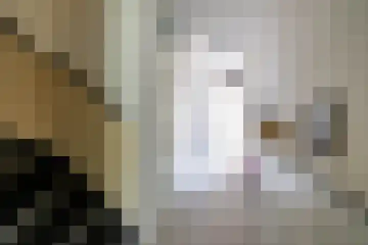 Spantenzetter 13 Sappemeer thumbnail 33