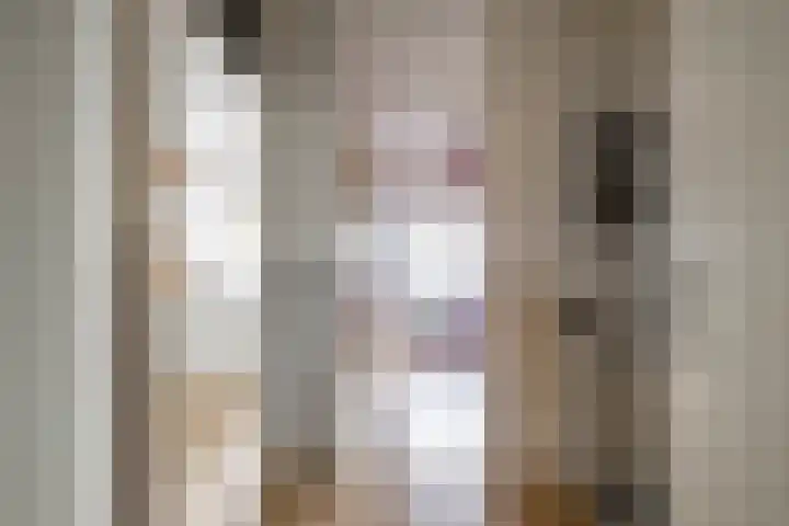 Spantenzetter 13 Sappemeer thumbnail 36
