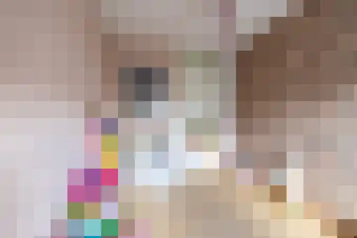Spantenzetter 13 Sappemeer thumbnail 38