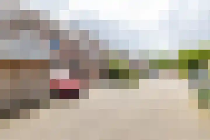 Spantenzetter 13 Sappemeer thumbnail 4