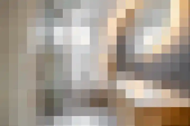 Spantenzetter 13 Sappemeer thumbnail 43