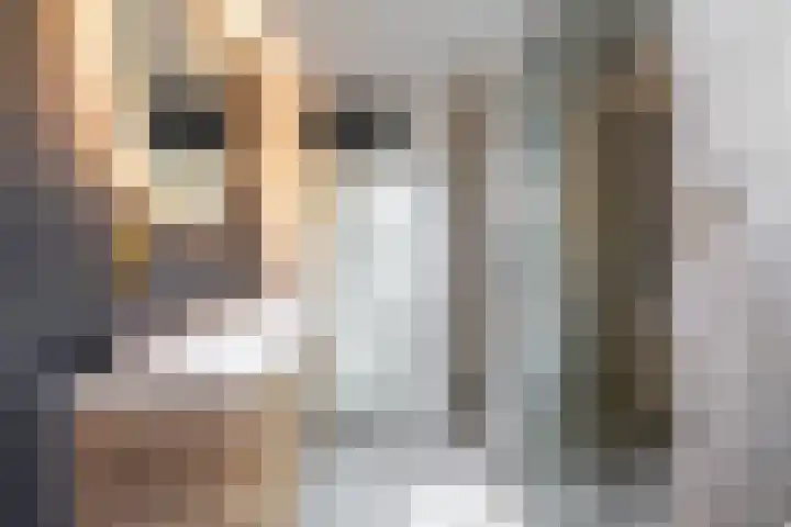 Spantenzetter 13 Sappemeer thumbnail 46