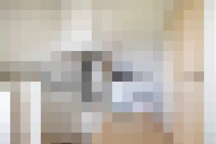 Spantenzetter 13 Sappemeer thumbnail 48