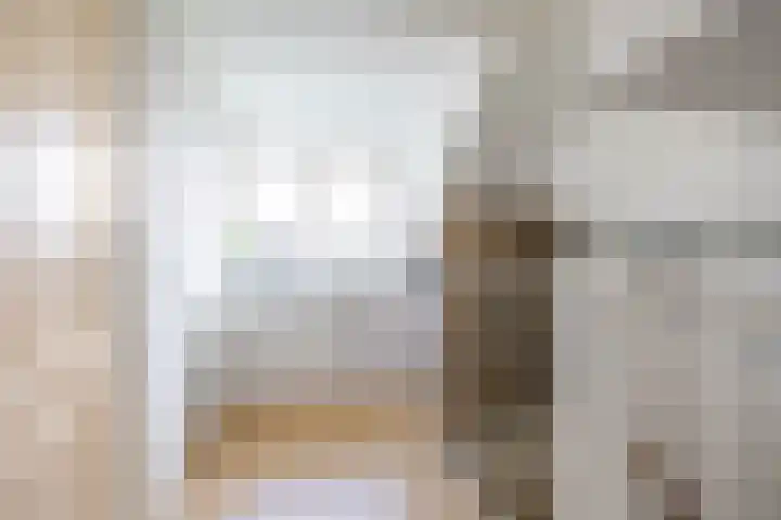 Spantenzetter 13 Sappemeer thumbnail 49
