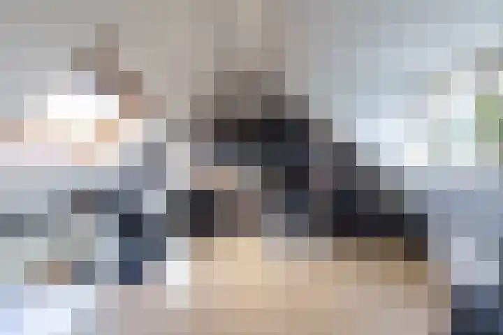 Spantenzetter 13 Sappemeer thumbnail 50
