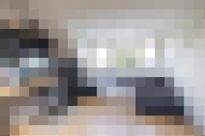 Spantenzetter 13 Sappemeer thumbnail 52