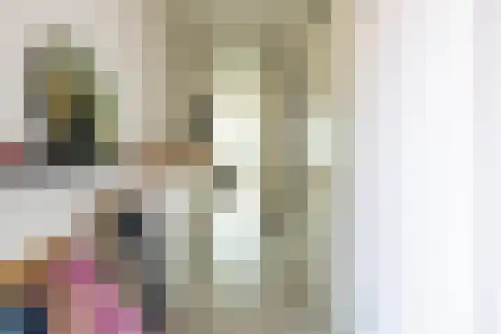 Spantenzetter 13 Sappemeer thumbnail 8