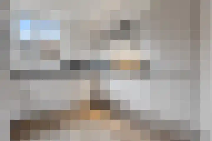 Spantenzetter 23 Sappemeer thumbnail 10