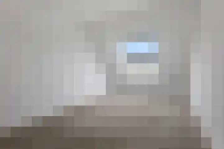 Spantenzetter 23 Sappemeer thumbnail 12