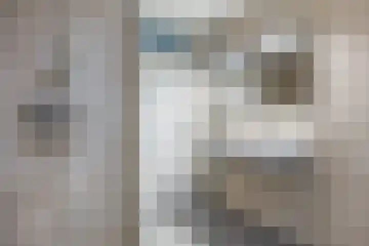 Spantenzetter 23 Sappemeer thumbnail 16