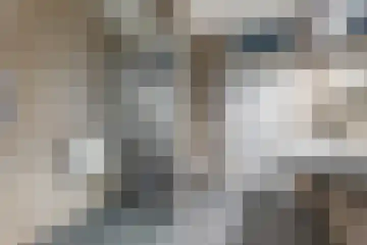 Spantenzetter 23 Sappemeer thumbnail 17