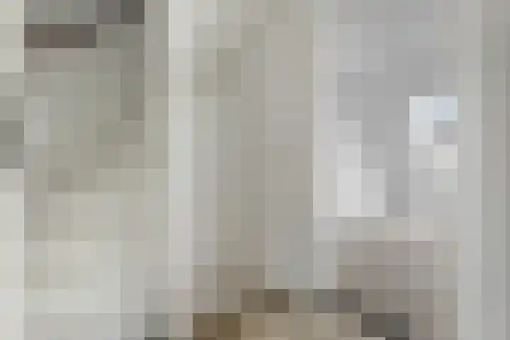 Spantenzetter 23 Sappemeer thumbnail 18