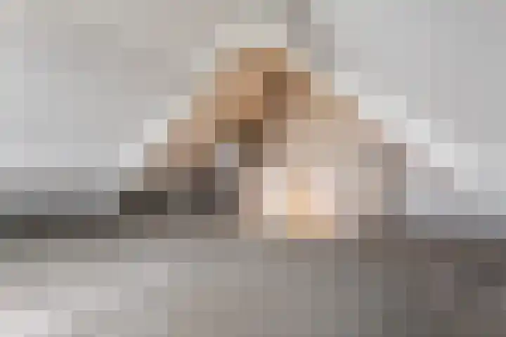 Spantenzetter 23 Sappemeer thumbnail 19