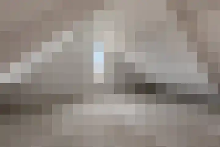 Spantenzetter 23 Sappemeer thumbnail 20