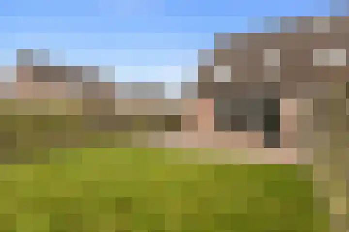 Spantenzetter 23 Sappemeer thumbnail 22