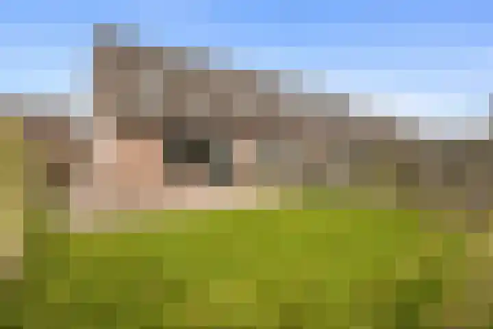 Spantenzetter 23 Sappemeer thumbnail 23