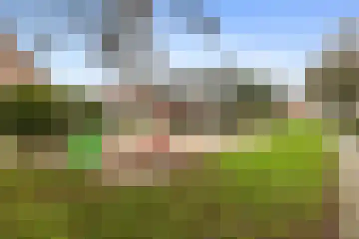 Spantenzetter 23 Sappemeer thumbnail 29