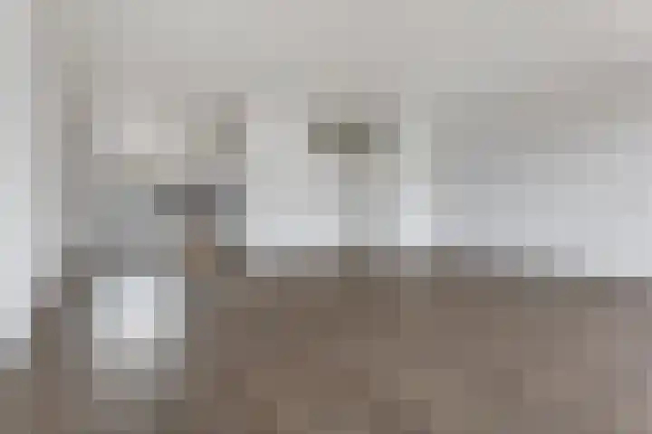 Spantenzetter 23 Sappemeer thumbnail 8