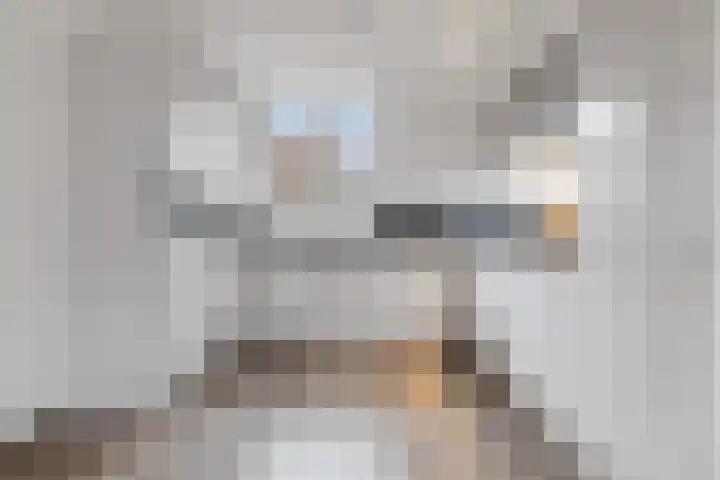 Spantenzetter 23 Sappemeer thumbnail 9