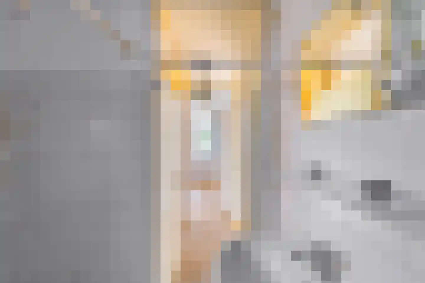 Spantenzetter 49 Sappemeer thumbnail 15
