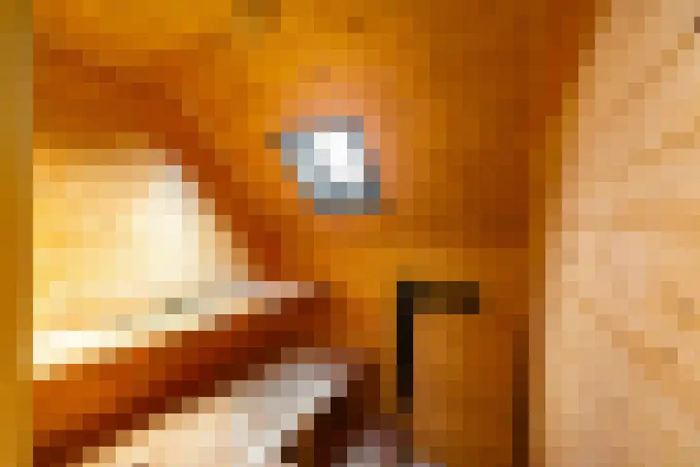 Spantenzetter 49 Sappemeer thumbnail 22