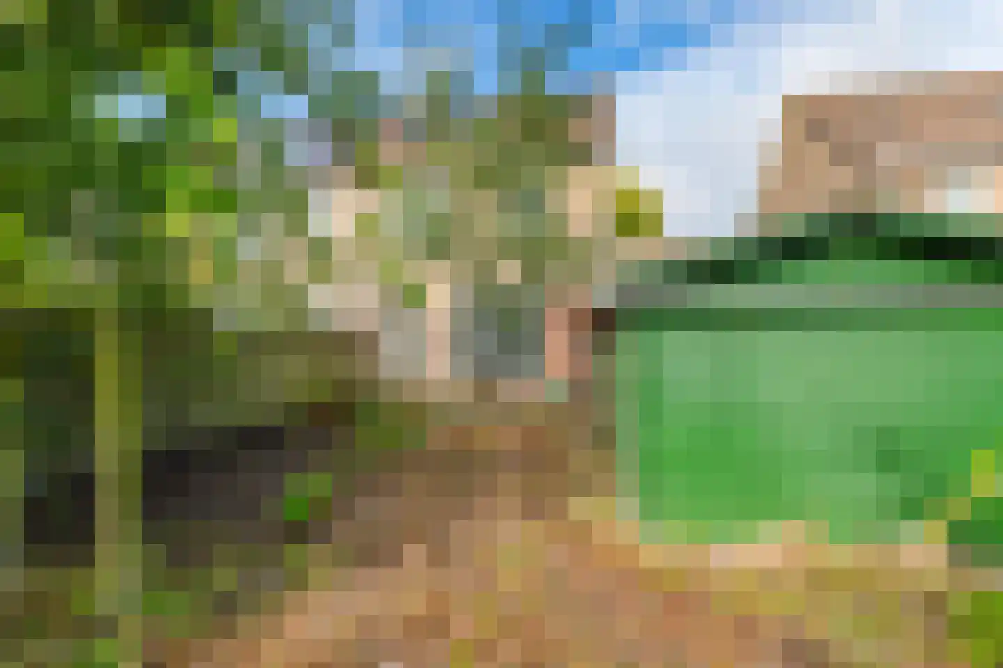Spantenzetter 49 Sappemeer thumbnail 25