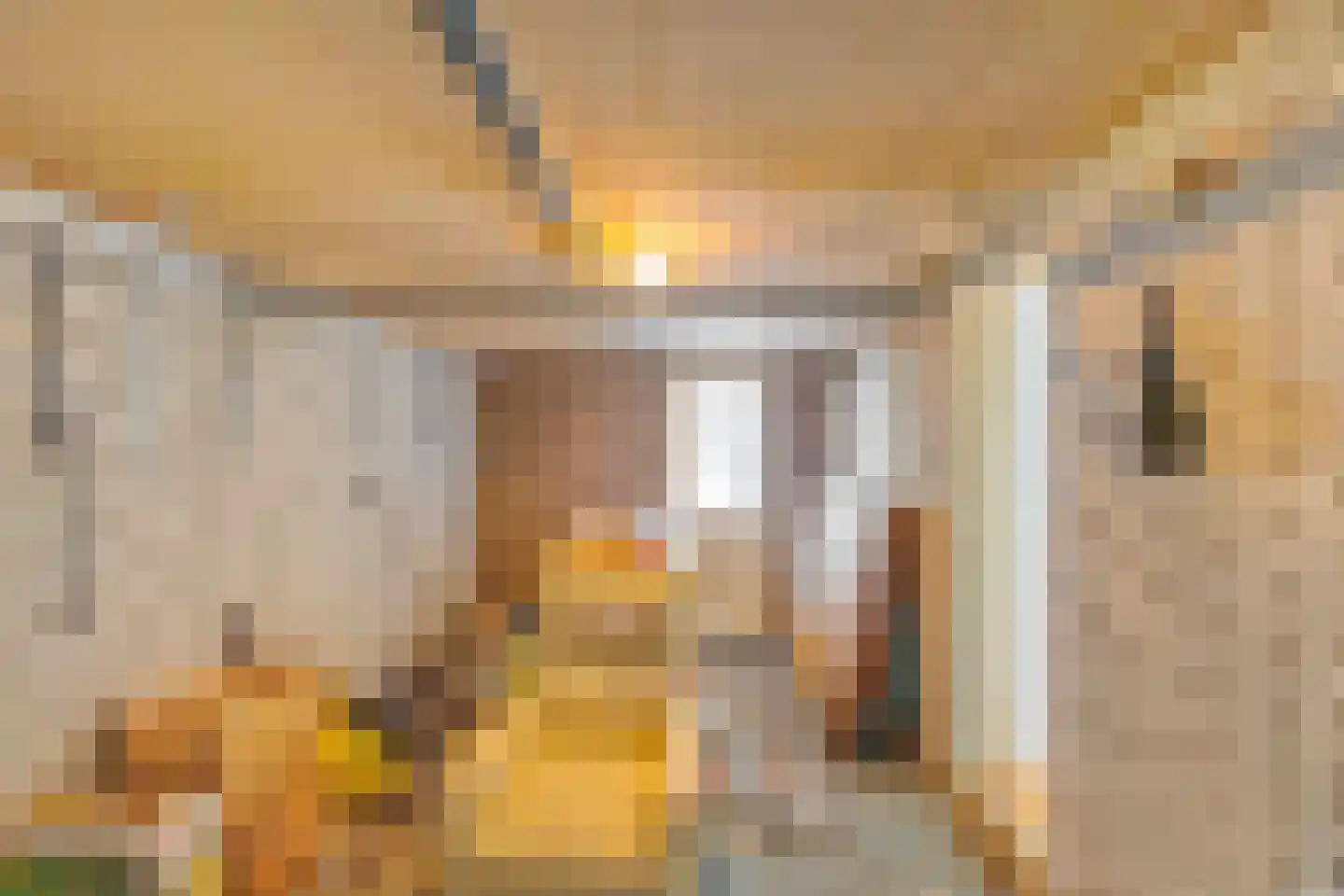 Spantenzetter 49 Sappemeer thumbnail 28